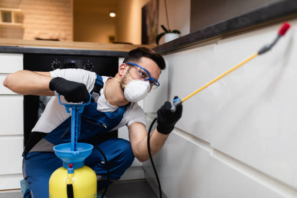Best Pest Inspection Near Me  in Glenvar Heights, FL