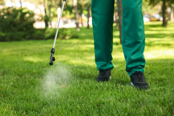 Best Spider Control Near Me  in Glenvar Heights, FL