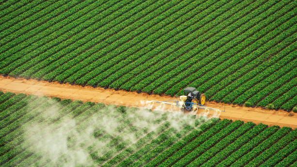 Best Pest Removal Services  in Glenvar Heights, FL