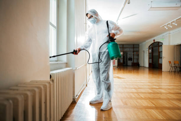 Best Flea Control Services  in Glenvar Heights, FL